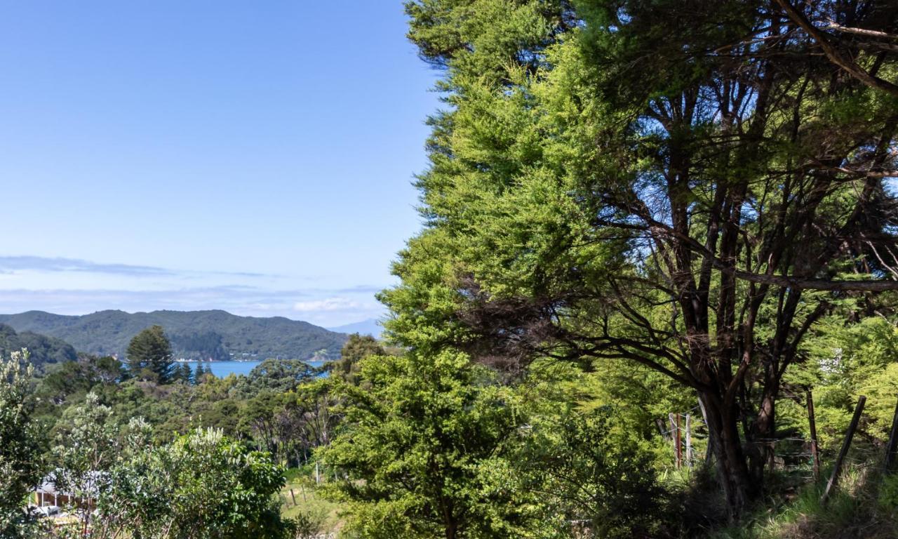 Aotea Lodge Great Barrier Tryphena Екстериор снимка